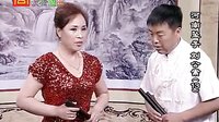 河南坠子《刘公案》 刘墉智斗贪官，精彩不容错过！下载