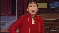 胡中花河南坠子西九成投亲7 戏曲下载 经典剧目 河南坠子剧种介绍