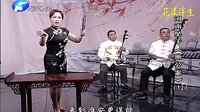 河南坠子《施公案12》- 范翠霞、王建国主演 - 大闹淮安府经典片段免费下载下载