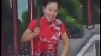 胡银花河南坠子大明奇冤17下载 - 高清戏曲资源分享