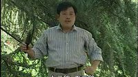 河南坠子《小八义》- 乔双锁精彩演绎，全集、片段等你来看！