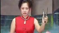 河南经典传统长篇戏曲坠子《罗家将》第十二集 - 在线观看与下载下载