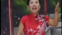 胡银花河南坠子大明奇冤18 - 精彩剧情不容错过
