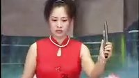 河南坠子《罗家将》第十二集 - 经典传统戏曲在线观看与下载下载
