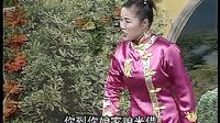 莫红梅河南坠子《韩广卖妻》-经典曲目赏析下载