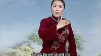 莫红梅河南坠子海公传中红袍23 - 经典戏曲下载|高清音质|免费观看