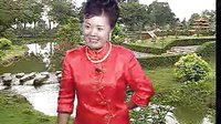 河南坠子大红袍下载 - 经典戏曲资源