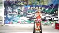 河南坠子《大闹淮安府》全集 - 父子大战黑松林精彩剧情解析 河南坠子《大闹淮安府》全集 - 父子大战黑松林精彩剧情解析