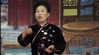 河南坠子《大明奇冤（第一部）》- 胡银花演唱经典曲目