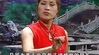 河南坠子《大闹淮安府》-经典戏曲下载，精彩剧情不容错过下载