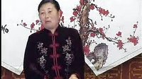 河南坠子一百零八侠(第一部)6 河南坠子一百零八侠(第一部)6