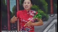 河南坠子大明奇冤(第二部)- 精彩绝伦的历史传奇剧集 河南坠子大明奇冤(第二部)- 精彩绝伦的历史传奇剧集