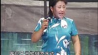 河南坠子大清血头案1