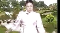 王莽赶刘秀 河南坠子经典剧目 莫红梅精彩演绎