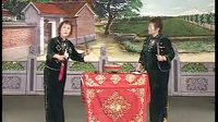 河南坠子经典剧目《雷九童打擂》，由邢书琴、魏琴凤倾情演唱，不容错过！下载