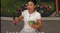 河南坠子马踏洛阳(第二部)2 - 精彩戏曲下载 河南坠子马踏洛阳(第二部)2 - 精彩戏曲下载