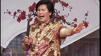 河南坠子《月唐传》，许秀珍演唱，精彩剧情不容错过！