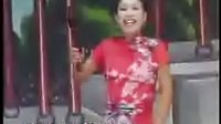胡银花河南坠子大明奇冤11下载