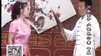 河南坠子《少侠包公案》- 张振魁/王玲枝主演 | 经典戏曲片段下载下载
