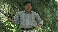 河南坠子小八义(下部)- 乔双锁演唱经典曲目 河南坠子小八义(下部)- 乔双锁演唱经典曲目