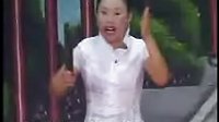 胡银花河南坠子《大明奇冤》 一段传奇冤案的揭秘之旅下载