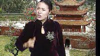 莫红梅河南坠子《海公传大红袍》 经典戏曲下载下载