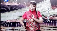 河南坠子《拉荆笆》- 胡中花超清演唱 - 经典曲目赏析 河南坠子《拉荆笆》- 胡中花超清演唱 - 经典曲目赏析