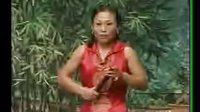 胡泫花河南坠子《孝奶奶治婆婆》 弘扬孝道，展现婆媳和谐相处之道下载