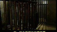 河南坠子回龙传
