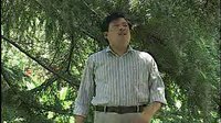 河南坠子小八义(上部)8(完)- 传统曲艺经典之作 河南坠子小八义(上部)8(完)- 传统曲艺经典之作