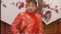 胡中花河南坠子精选