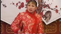 胡中花河南坠子精选
