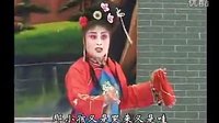 太康道情《张廷秀私访》全剧 - 李艳玲、刘粉霞、赵霞主演，剧情简介及精彩看点下载