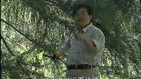 河南坠子《小八义》下 少年英雄的热血传奇，惩恶扬善的精彩演绎
