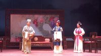 太康道情《珍珠塔选场》- 赵霞、李艳玲主演，精彩剧情不容错过！下载