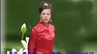 河南坠子飞侠传二 - 精彩绝伦的传统曲艺剧目 河南坠子飞侠传二 - 精彩绝伦的传统曲艺剧目