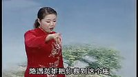 河南坠子《王莽赶刘秀》全集下载 - 经典传统戏曲剧目高清音频/视频资源