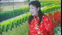 河南坠子《王婆劝架》-经典曲目、刘慧琴等主演、剧情简介及下载资源下载