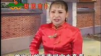 河南坠子剧种介绍及经典曲目推荐 - 传统曲艺文化传承