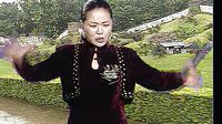 王莽赶刘秀 河南坠子 莫红梅演唱 经典传统剧目 乱世争霸剧情解析