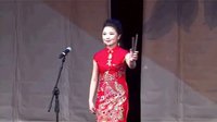 刘瑞莲师徒演唱会 - 河南坠子精彩演绎下载