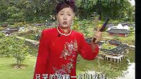 河南坠子五妻争夫8(完) 河南坠子五妻争夫8(完)