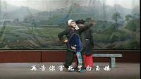 太康道情白玉楼