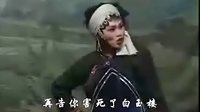 太康道情《白玉楼》- 吕清丽主演经典戏曲全本下载 太康道情《白玉楼》- 吕清丽主演经典戏曲全本下载
