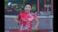 河南坠子 小刘公