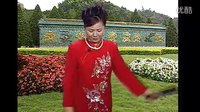 河南坠子《大红袍》（第一部）- 经典戏曲下载 - 精彩剧情不容错过下载