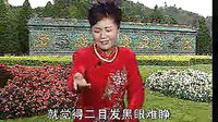 莫红梅河南坠子海公传大红袍2下载 - 高清戏曲资源分享平台