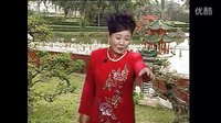 河南坠子《大红袍》（第一部）| 经典戏曲下载下载