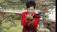 莫红梅河南坠子《海公案·大红袍》经典唱段下载-戏曲资源分享