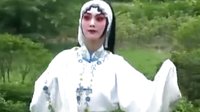 楚剧《赵玉珍装疯》下载 - 经典戏曲剧目在线观看与下载资源下载